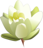 White Water Lily Clip Art